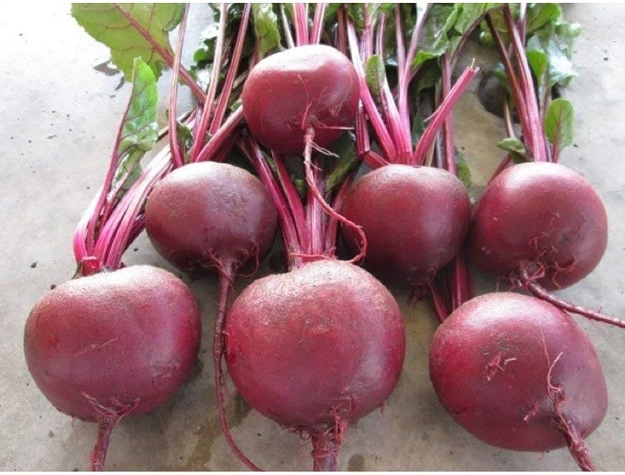 Falcon Beet Beta Vulgaris Seeds for planting in vegetable patch