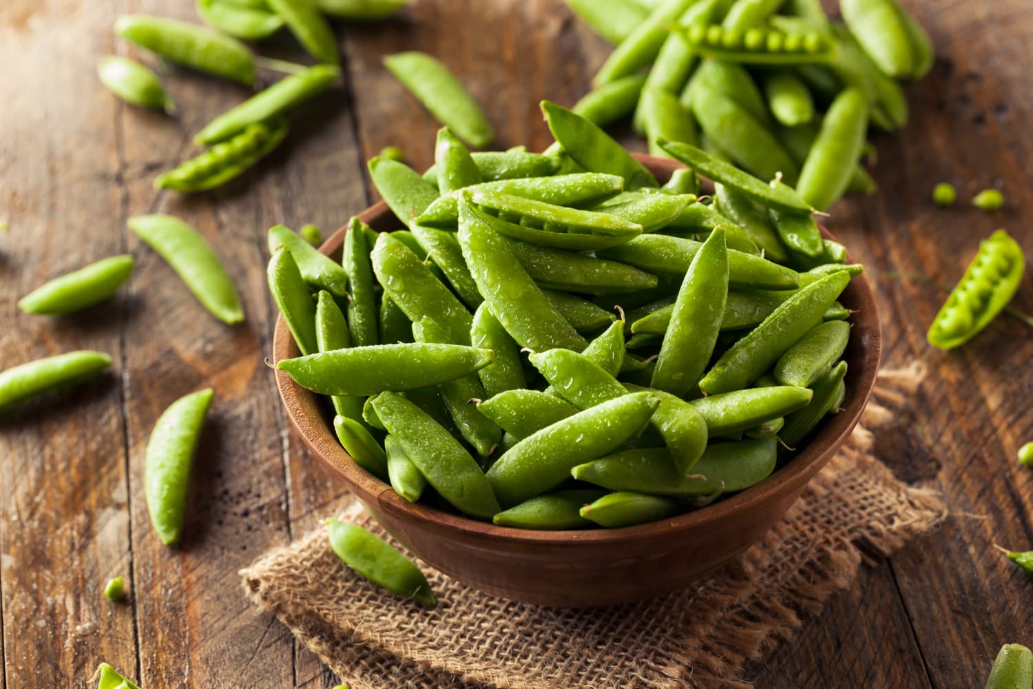 Sugar Snap Pea Pisum sativum Seeds for Planting in Vegetable Patch