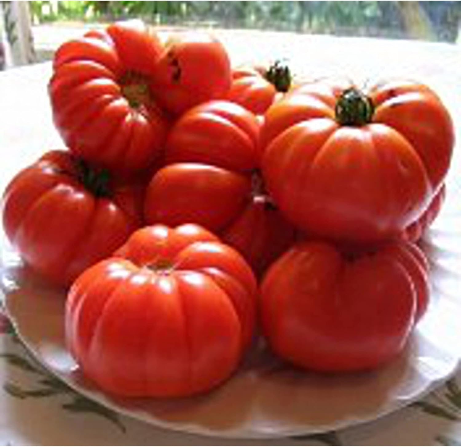 Aussie Tomato seeds for sweet tomatoes