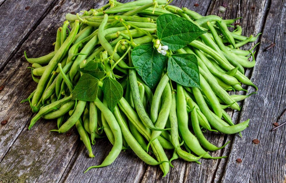 Stick Beans Vegetable Plant Seeds for planting in vegetable patch