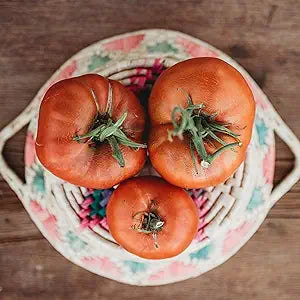 Brandywine Red Tomato seeds for heirloom tomatoes