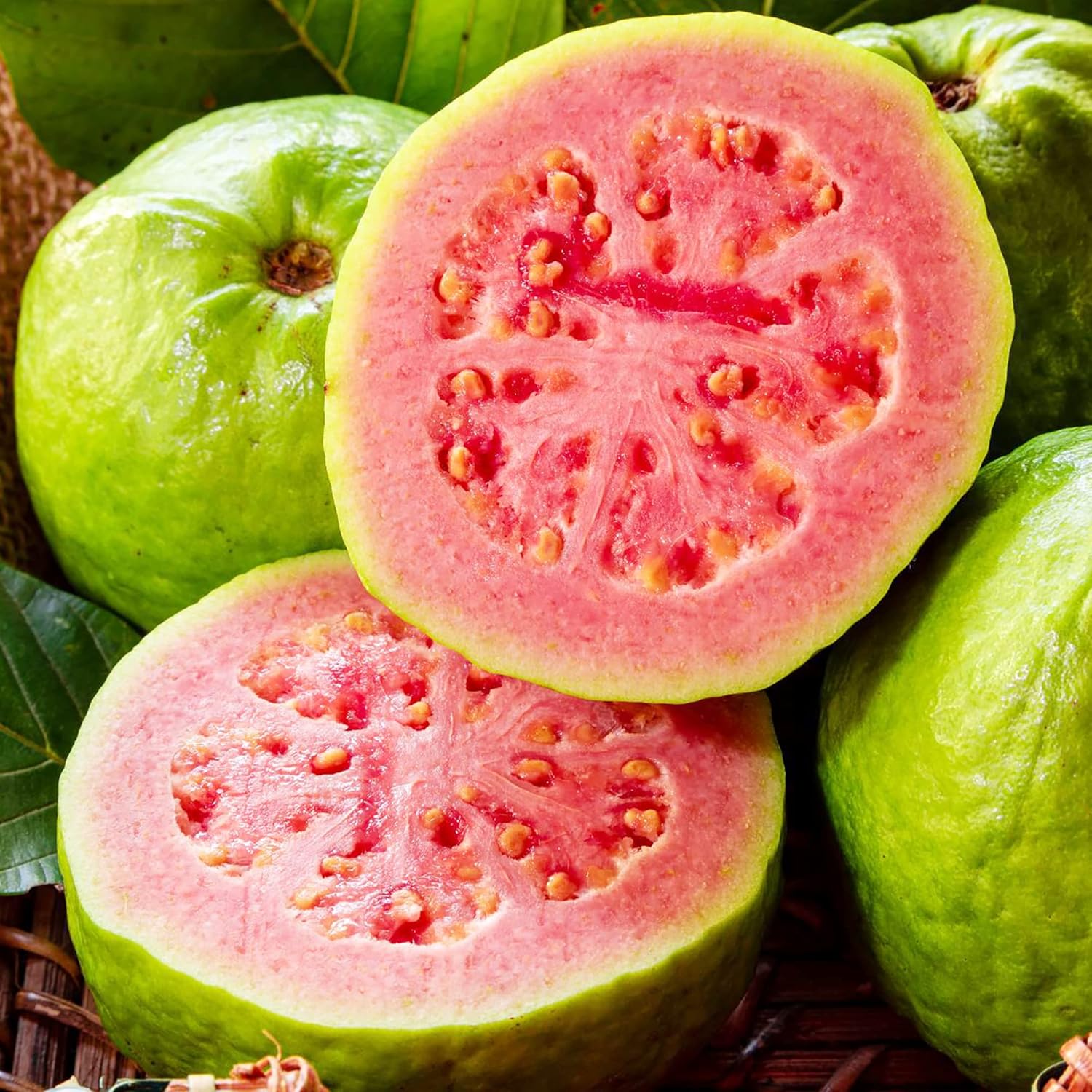 Guava Seeds Red Psidium Guajava Perennial Sweet Fragrant Tropical Fruit Non-Gmo Backyard Plant Best