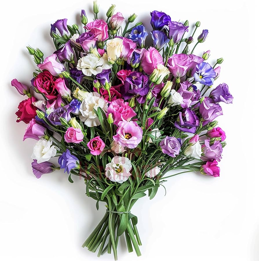 Mixed Lisianthus Sapphire Flower seeds for Planting - Seasonal Bloomer, Heirloom & GMO Free Seeds for Home Garden
 
 Sale seeds for planting in home garden