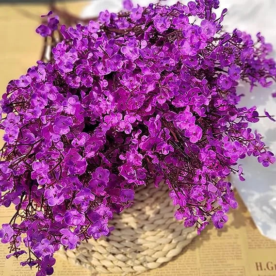 Dark Purple Gypsophila Flower Seeds - Perfect For Bold Floral Arrangements