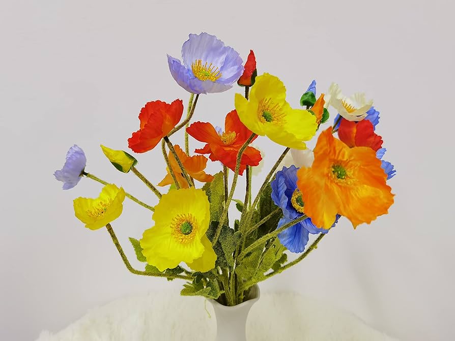 DIY Vase Flower Mix Various spp. Seeds for planting in flower bed