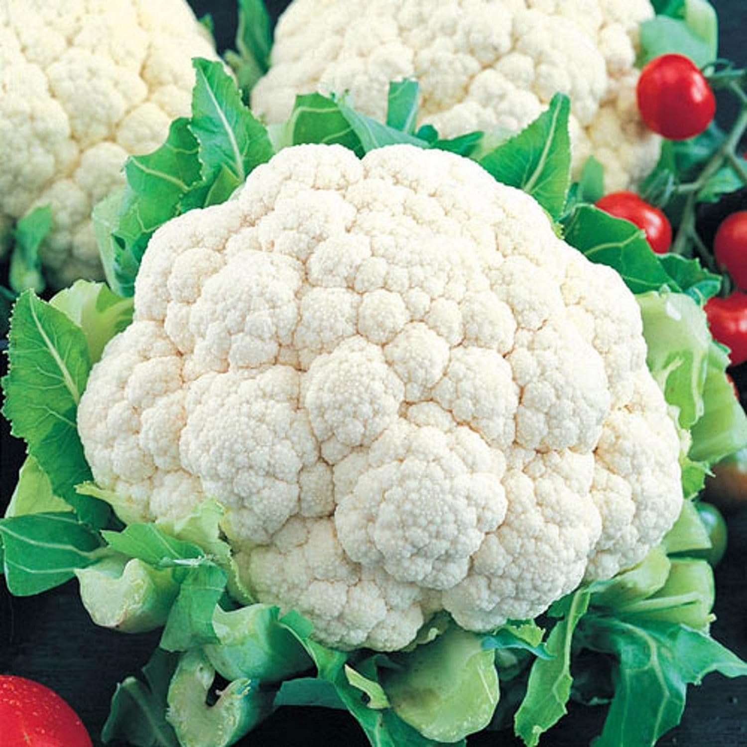 Cauliflower Brassica oleracea for planting in vegetable patch