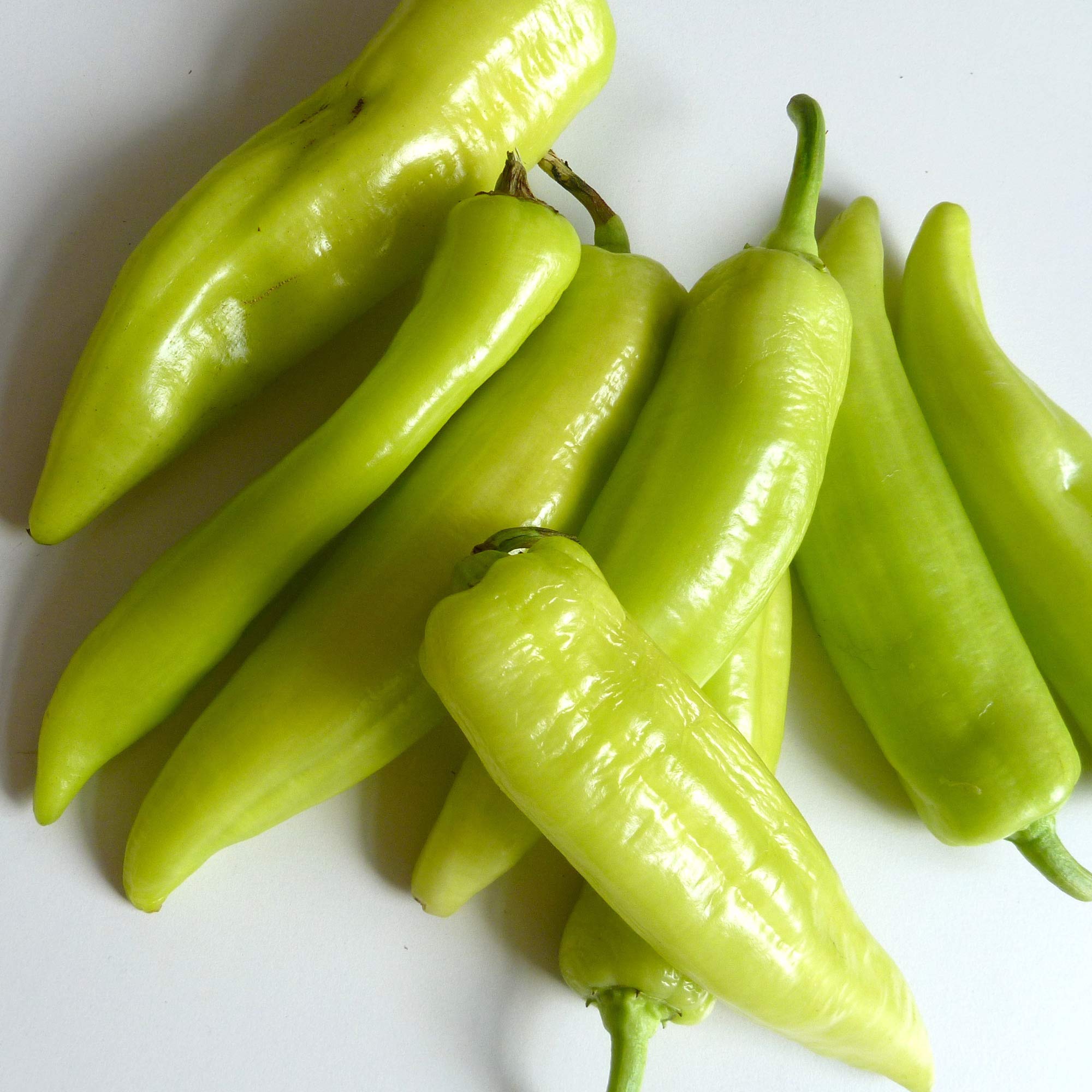 Authentic Italian Pepper Capsicum annuum for planting in vegetable patch