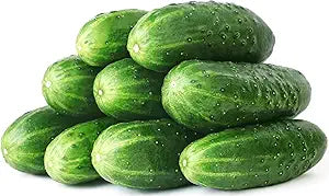 Straight Eight Cucumber seeds for sweet, crisp cucumbers