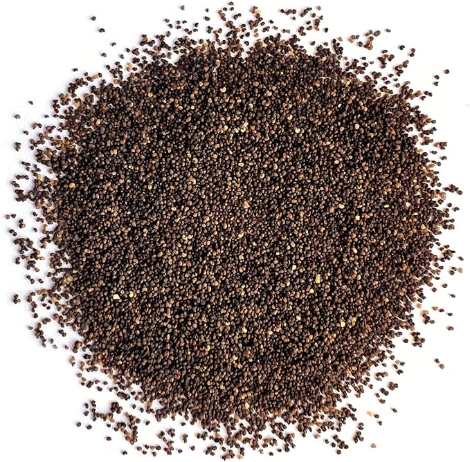 Poppy Papaver somniferum for planting in flower bed