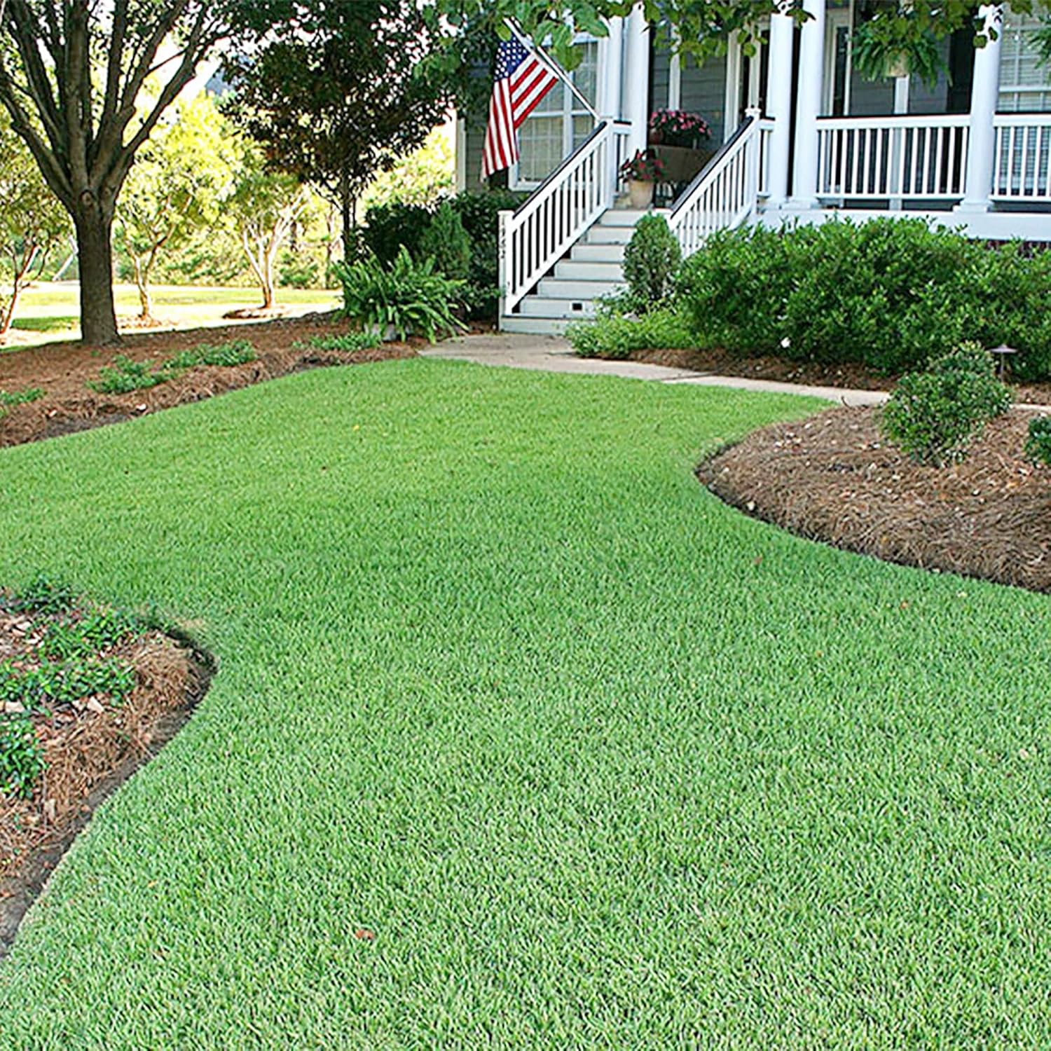 Grass Seeds - Heat Drought And Wear-Resistant Lawn Solution Best Sellers