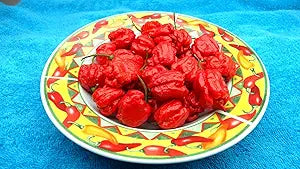 Carolina Reaper Pepper seeds for extreme heat
