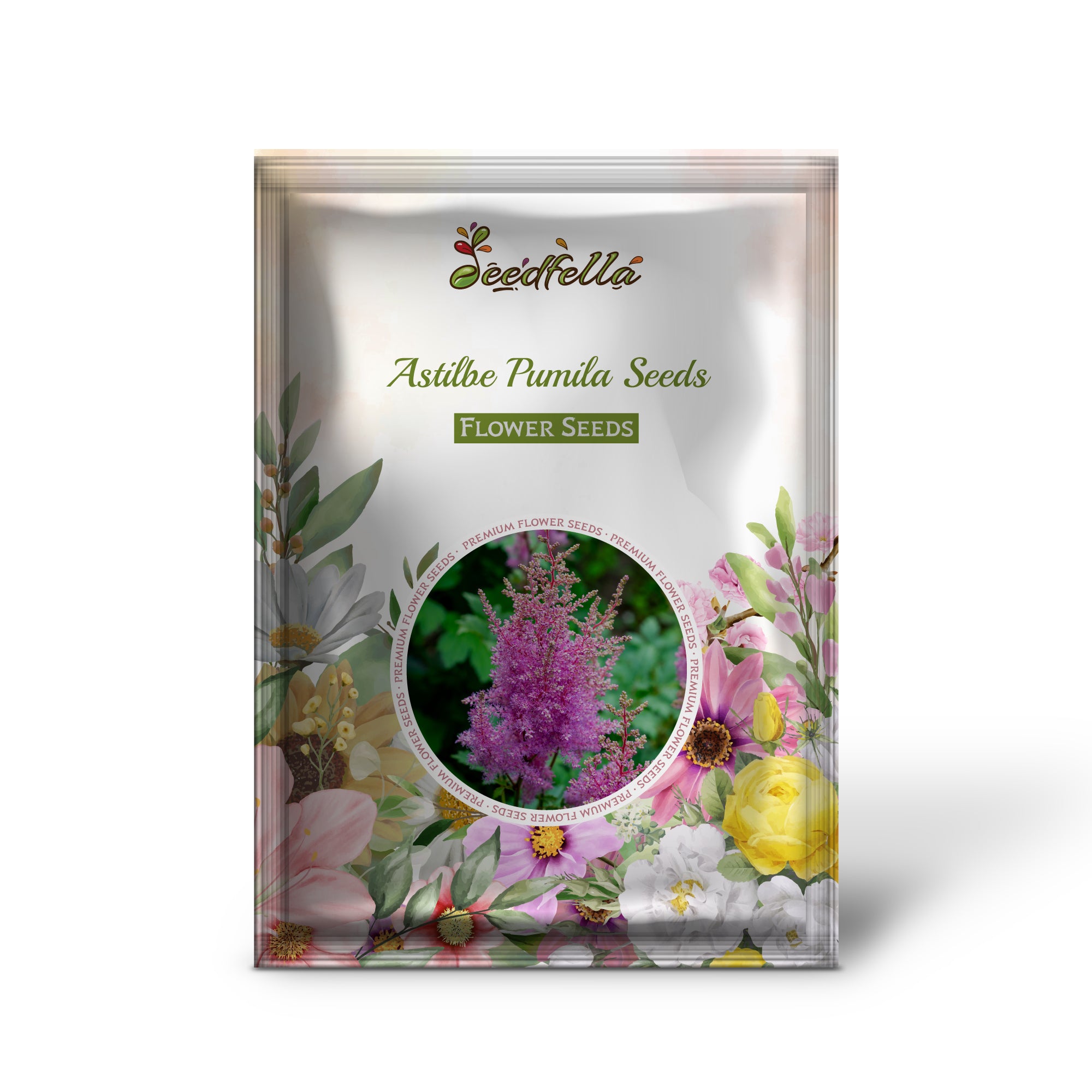 Astilbe Pumila zaden voor het planten in schaduwtuinen