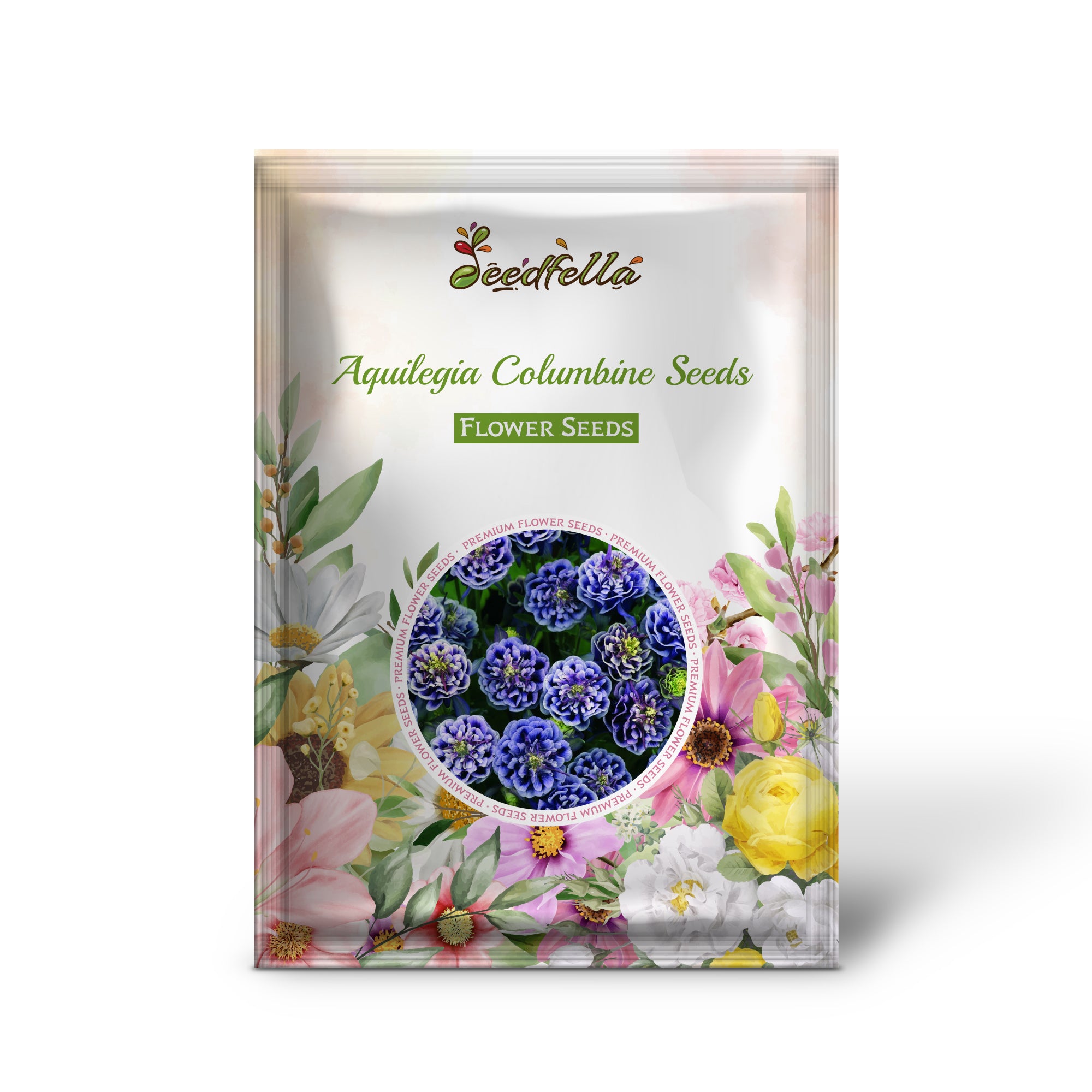 Graines d'ancolie Aquilegia pour une plantation unique