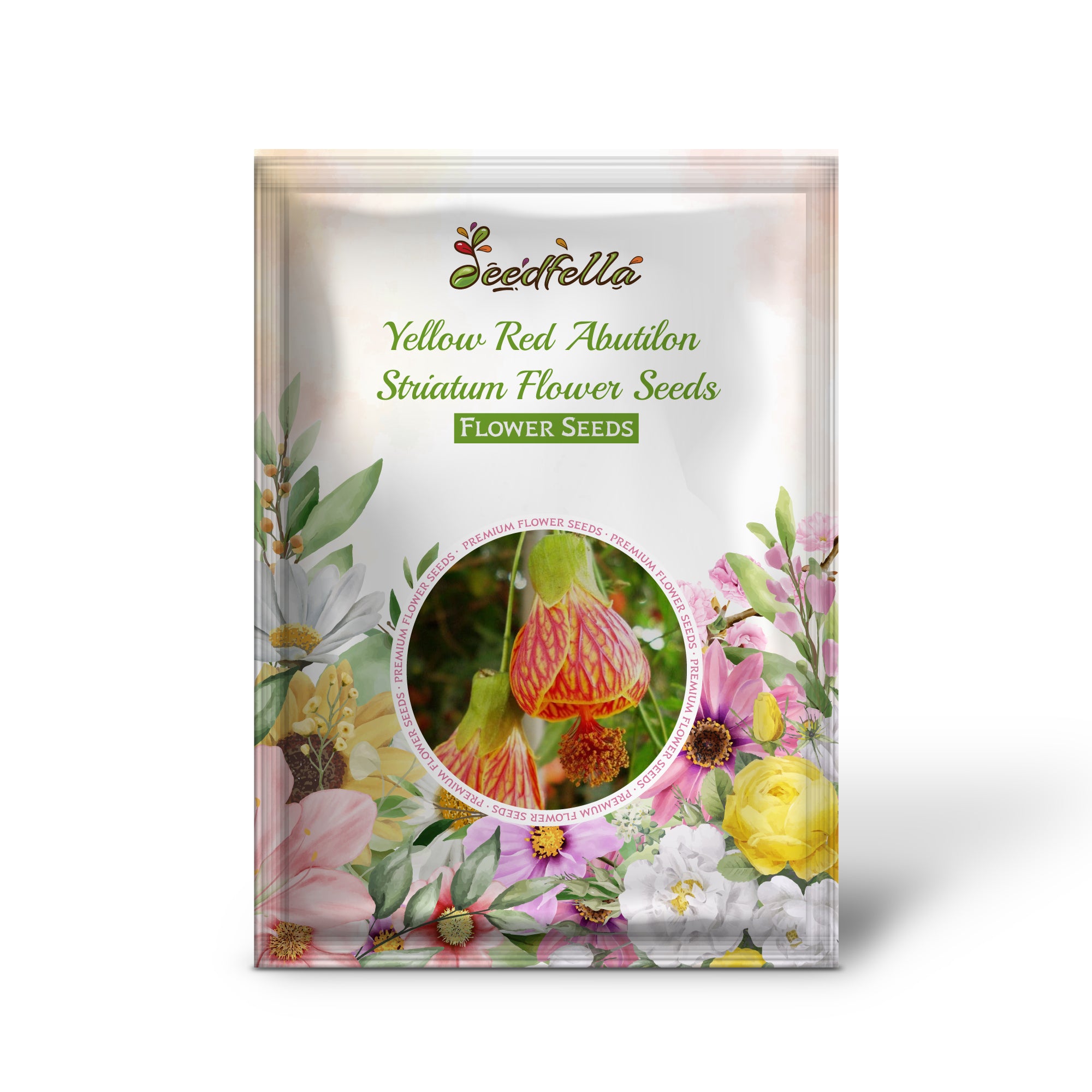 Yellow red Abutilon garden seeds for outdoor planting