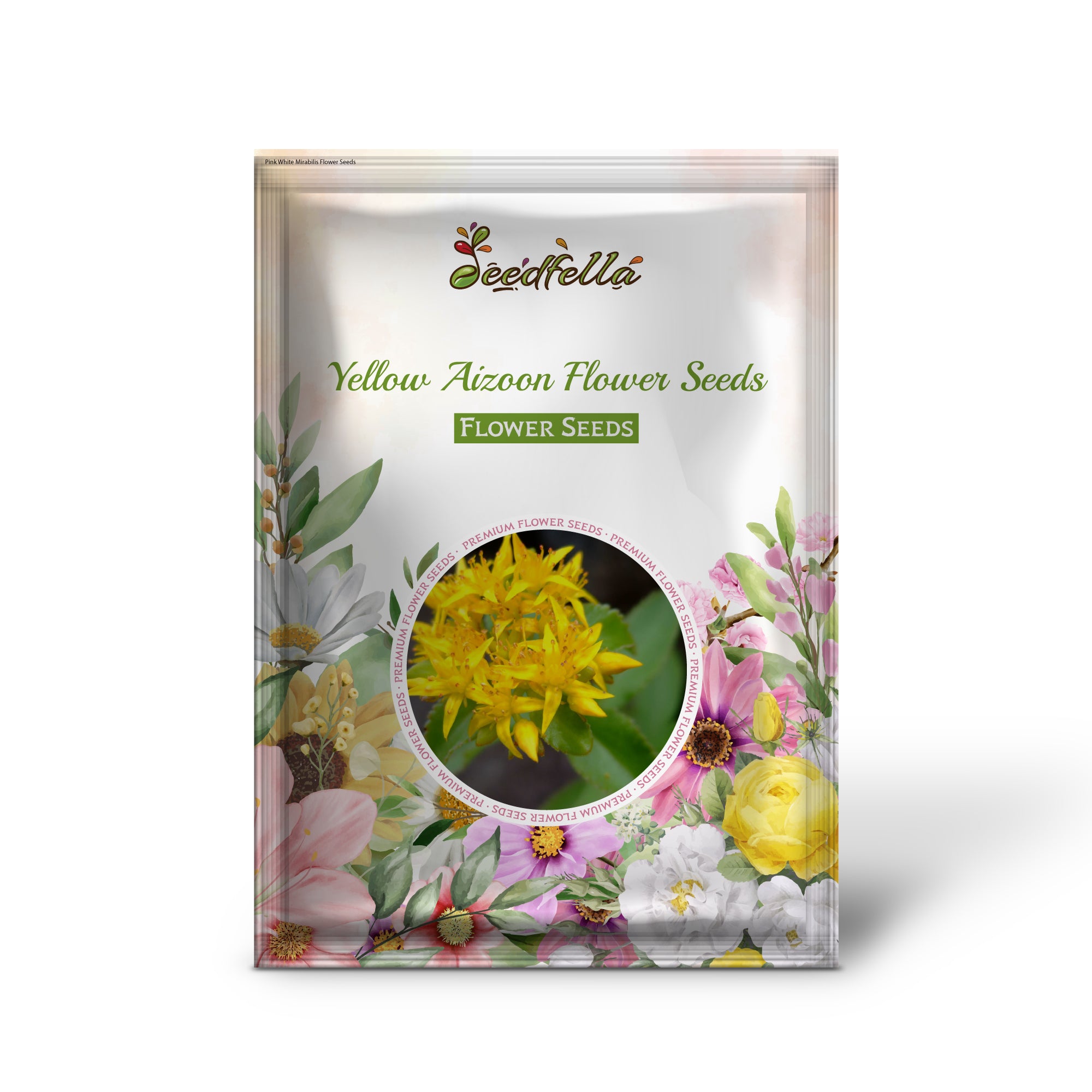 Yellow Aizoon garden seeds for outdoor planting