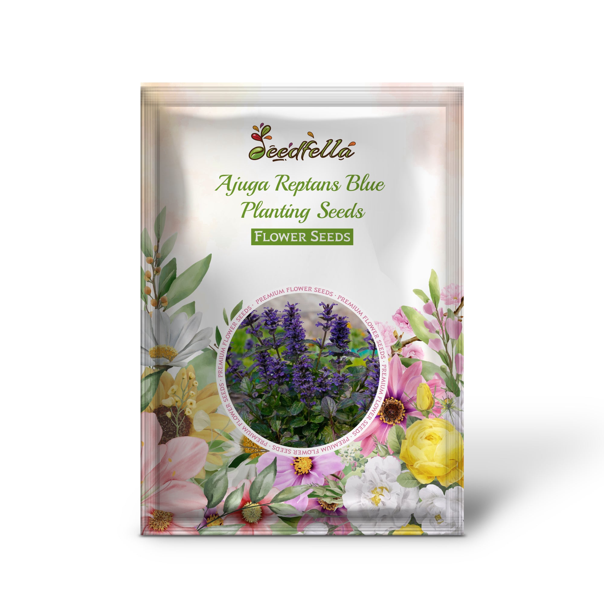 Ajuga Reptans Blue flowers blooming in garden