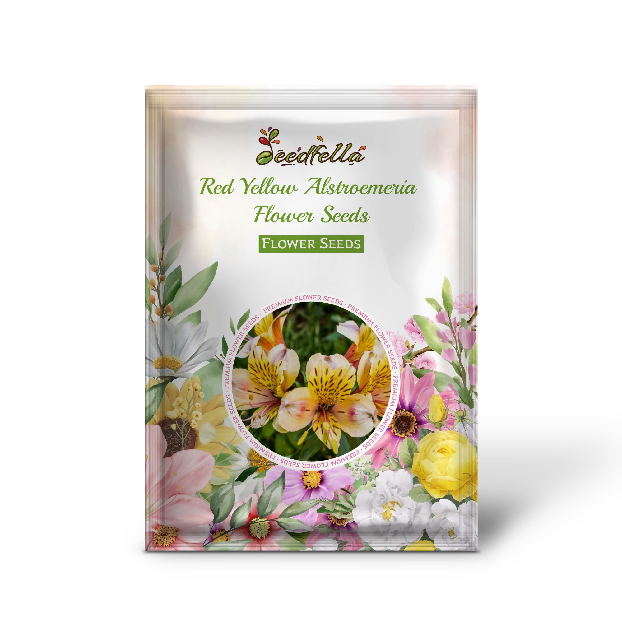 Red Yellow Alstroemeria garden seeds for outdoor planting