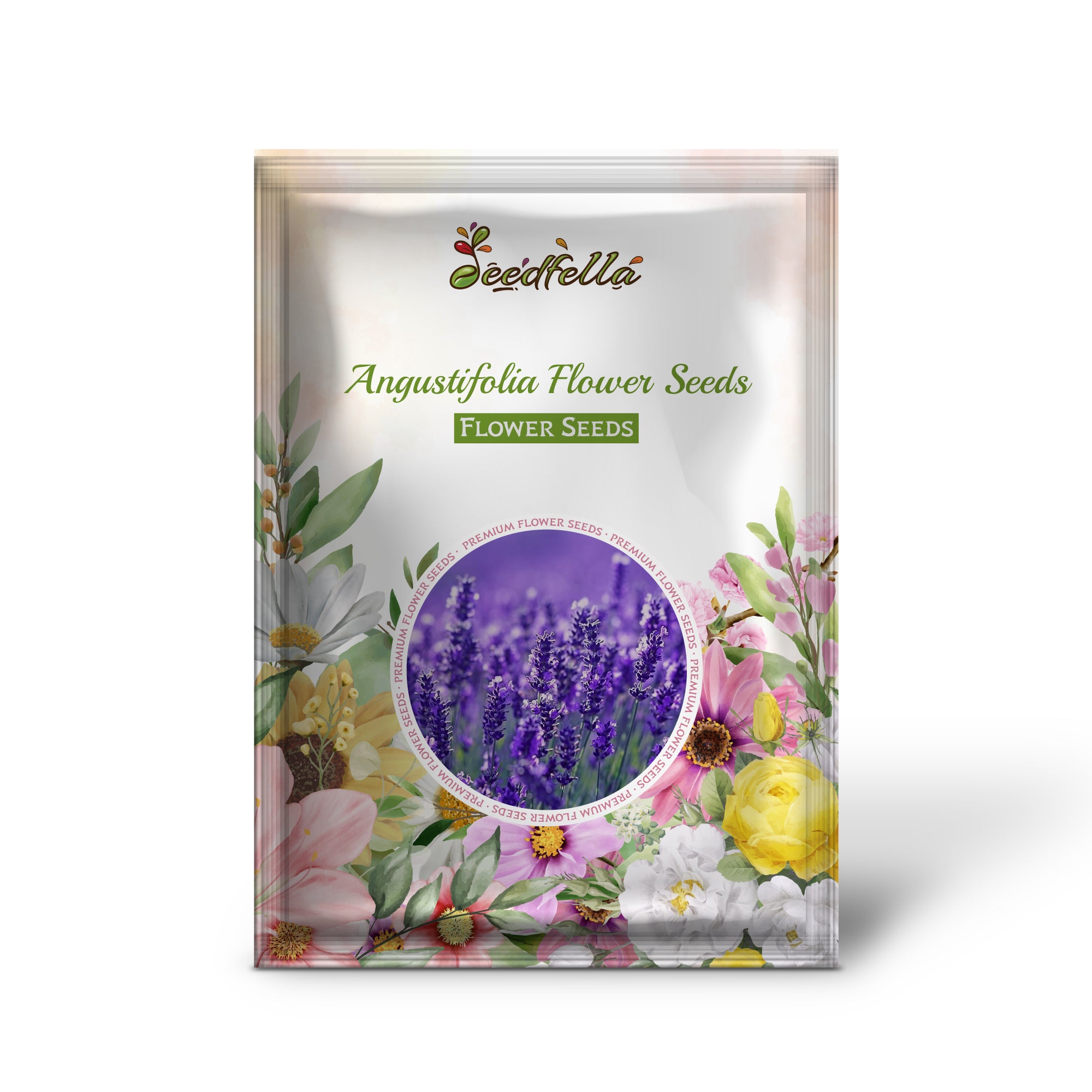 Angustifolia garden seeds for outdoor planting