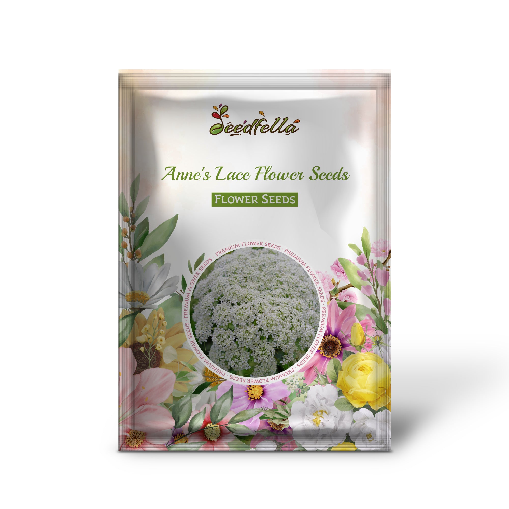 Anne’s Lace garden seeds for outdoor planting