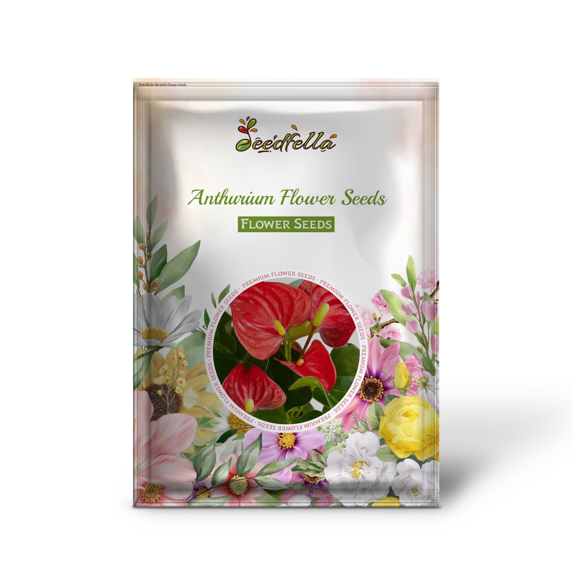 Green Red Anthurium garden seeds for indoor planting