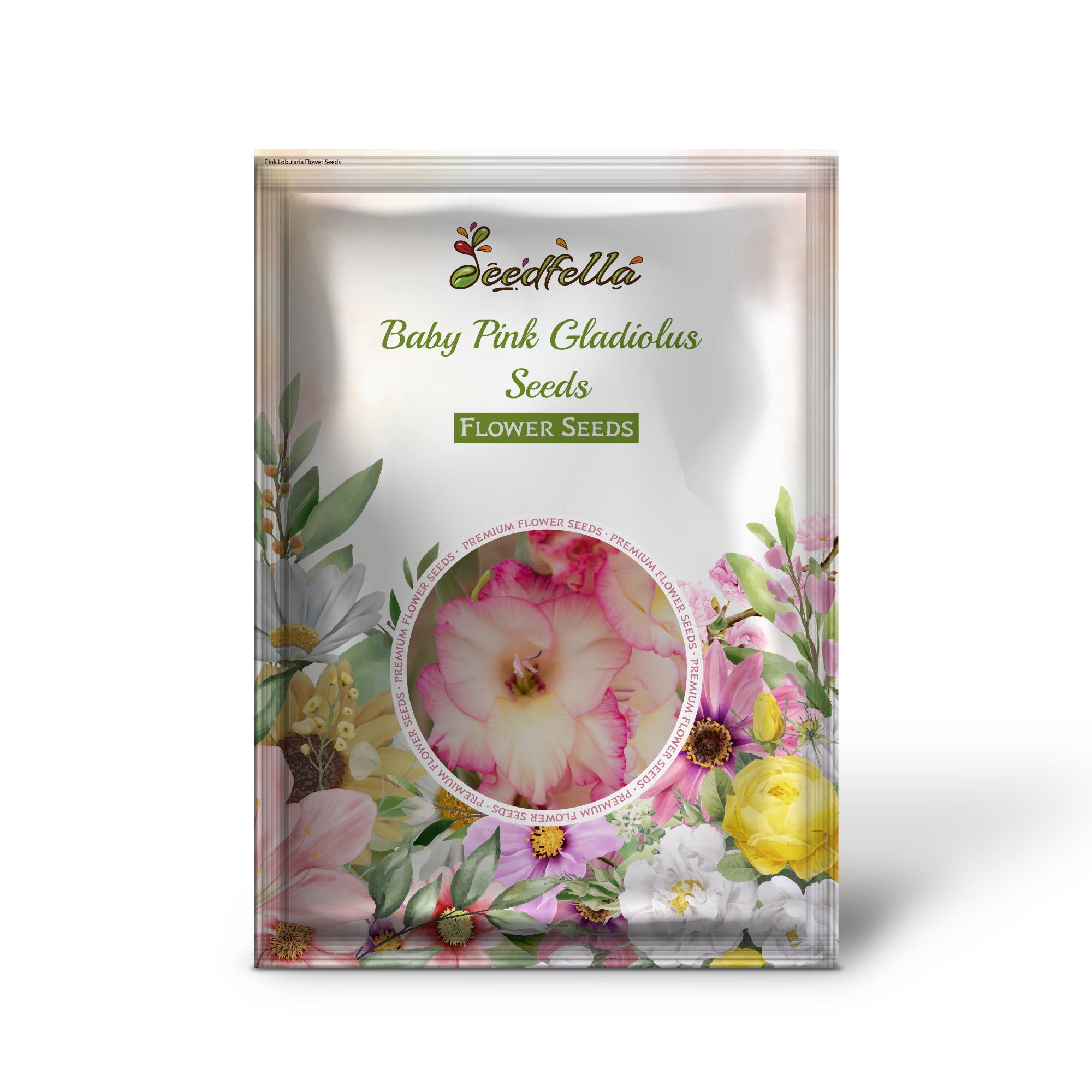 Baby pink gladiolus garden seeds for home planting