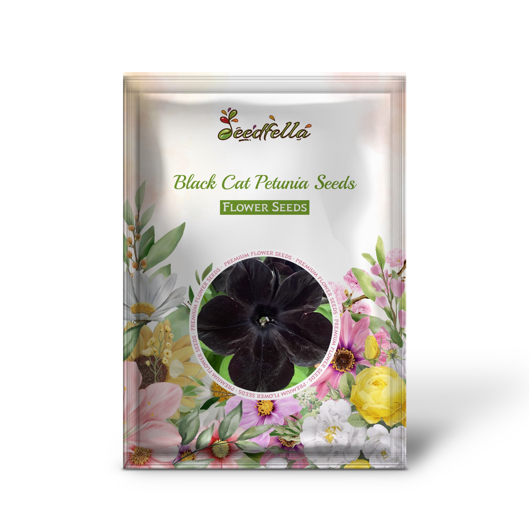 Black Cat Petunia flowers blooming in garden