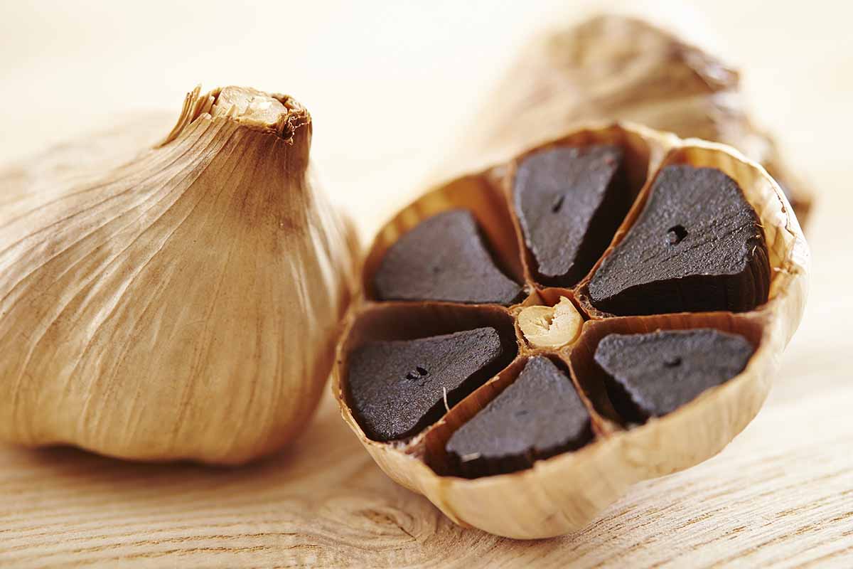 Black Garlic Vegetable Seeds For Planting - Add Unique Flavor & Nutrition Seeds