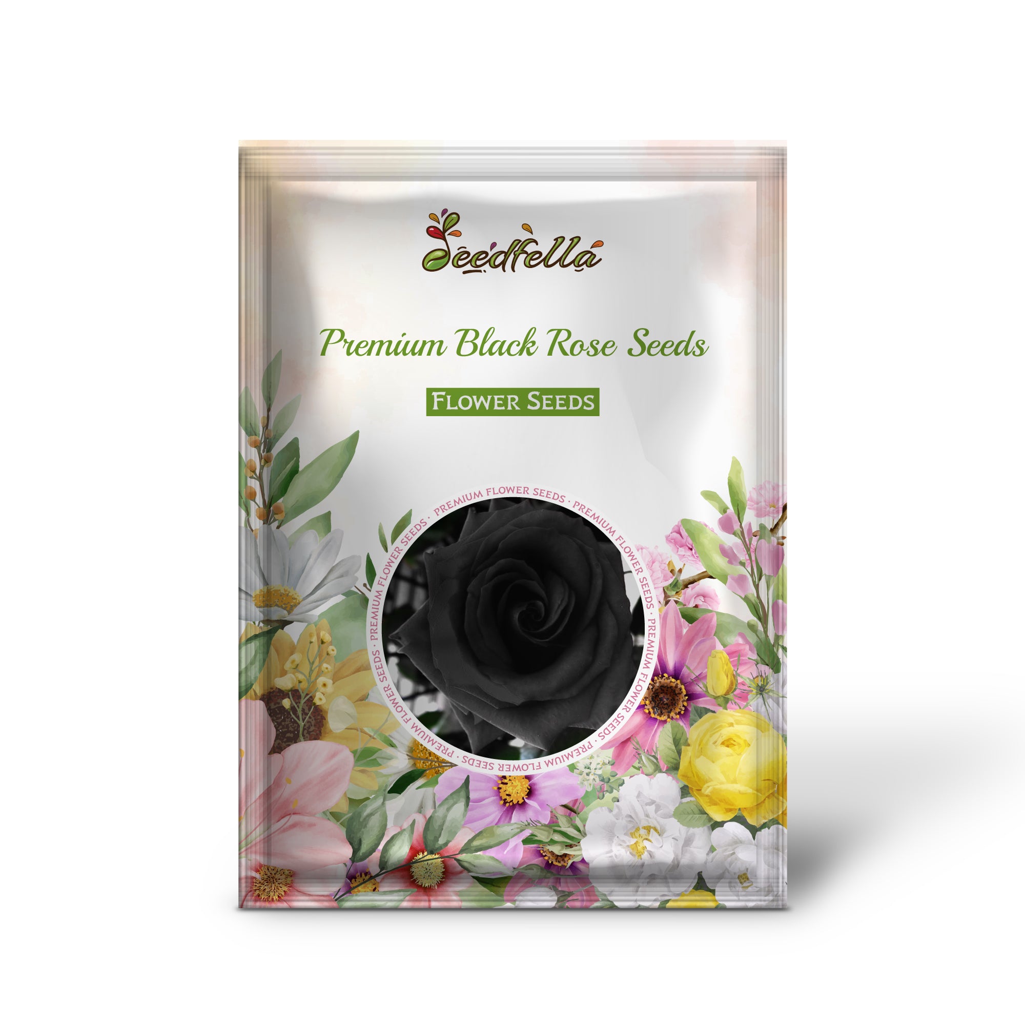 Black Rose flowers blooming in garden