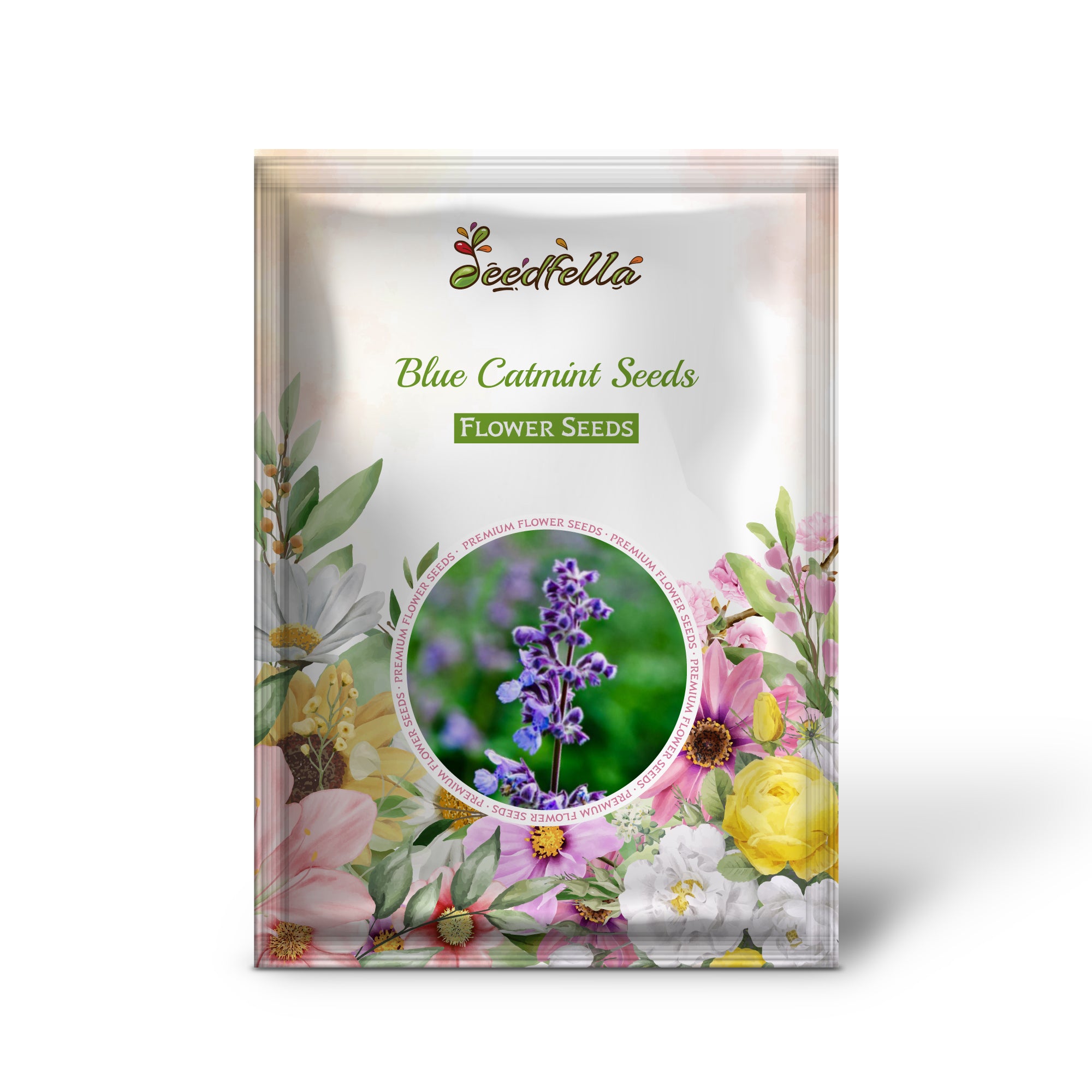 Blue Catmint flowers blooming in garden