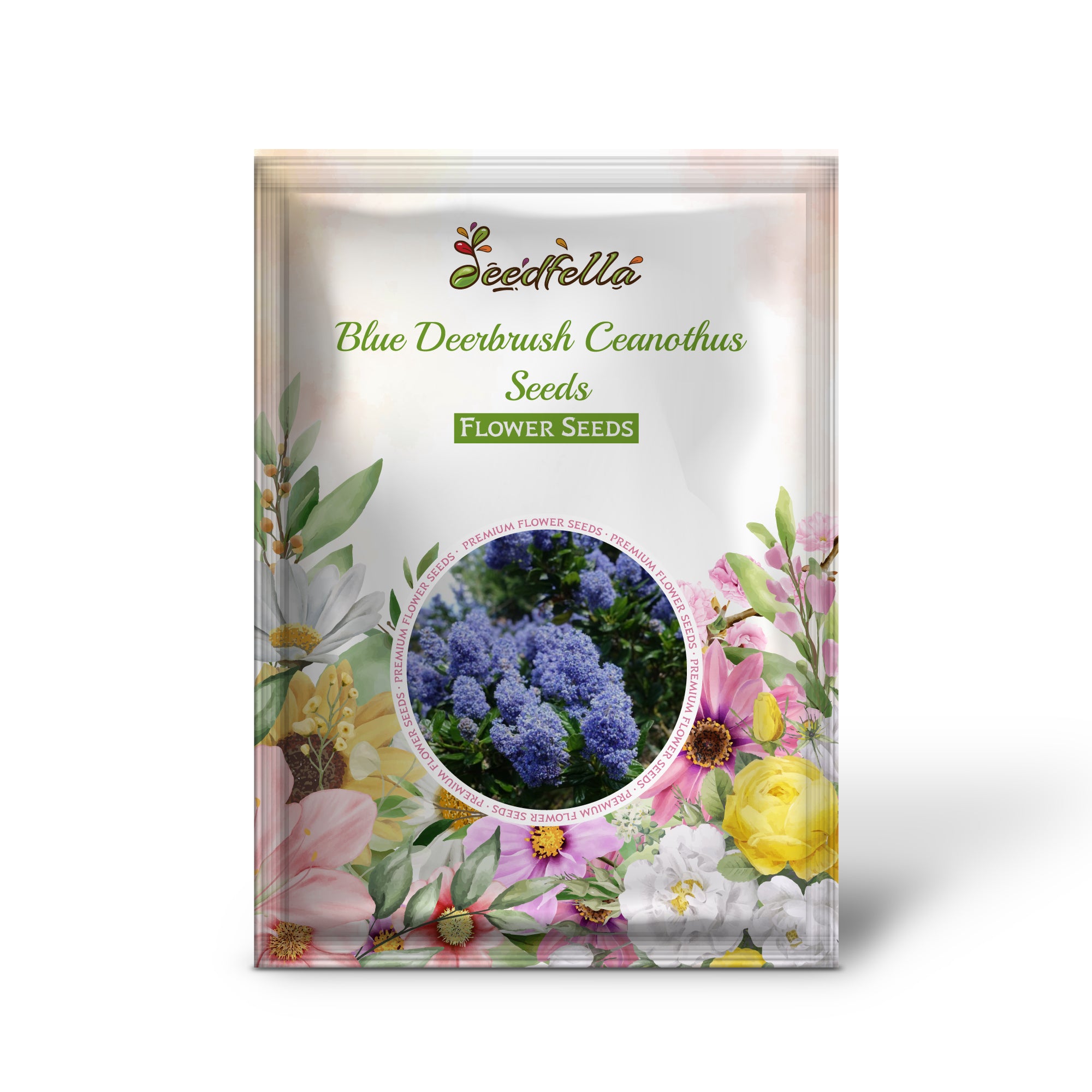 Blue Ceanothus tree flowering