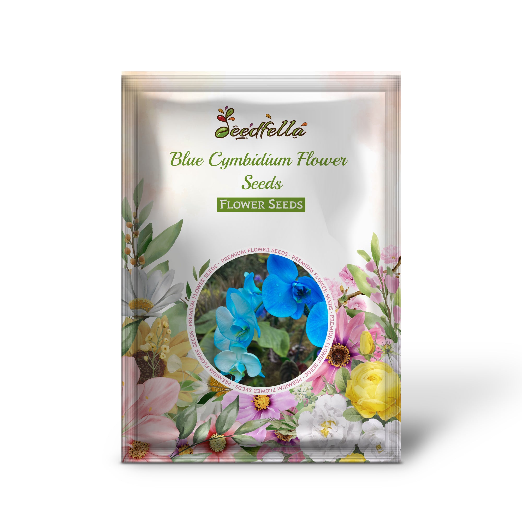 Blue Cymbidium flowers blooming