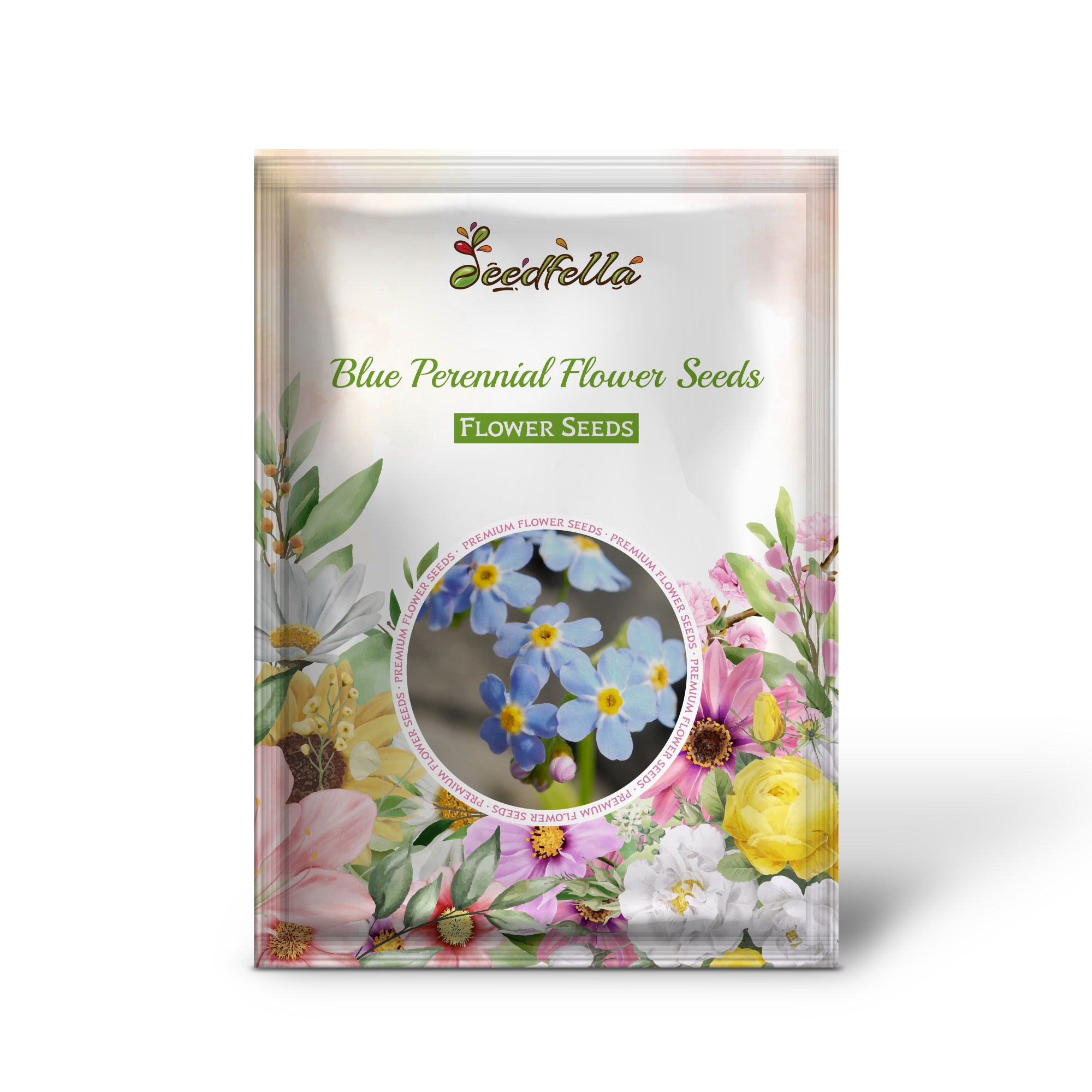 Blue perennial flowers blooming in garden