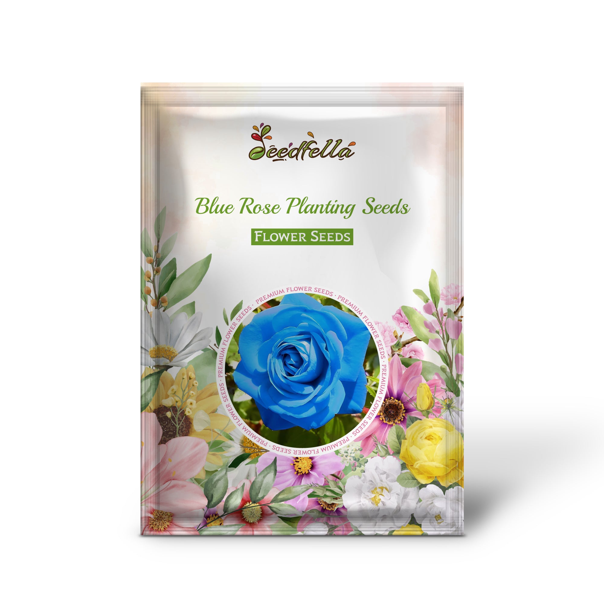 Blue Rose flowers blooming in garden