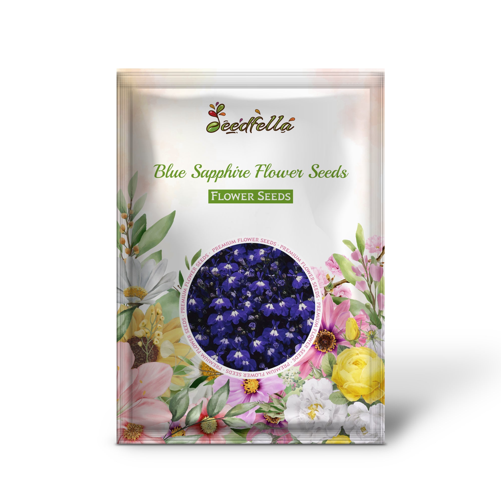 Blue Sapphire flowers blooming in garden