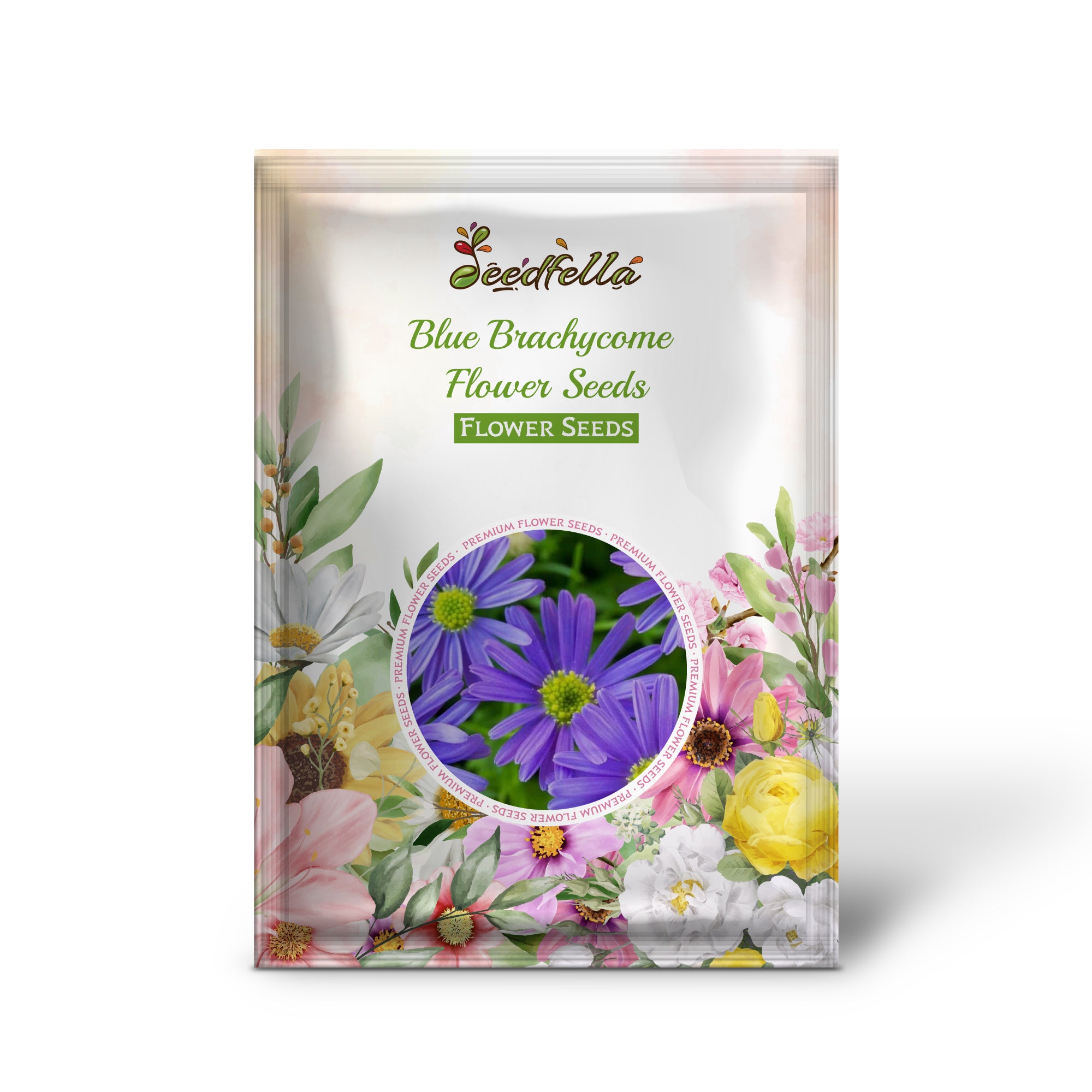 Blue Brachycome garden seeds for outdoor planting