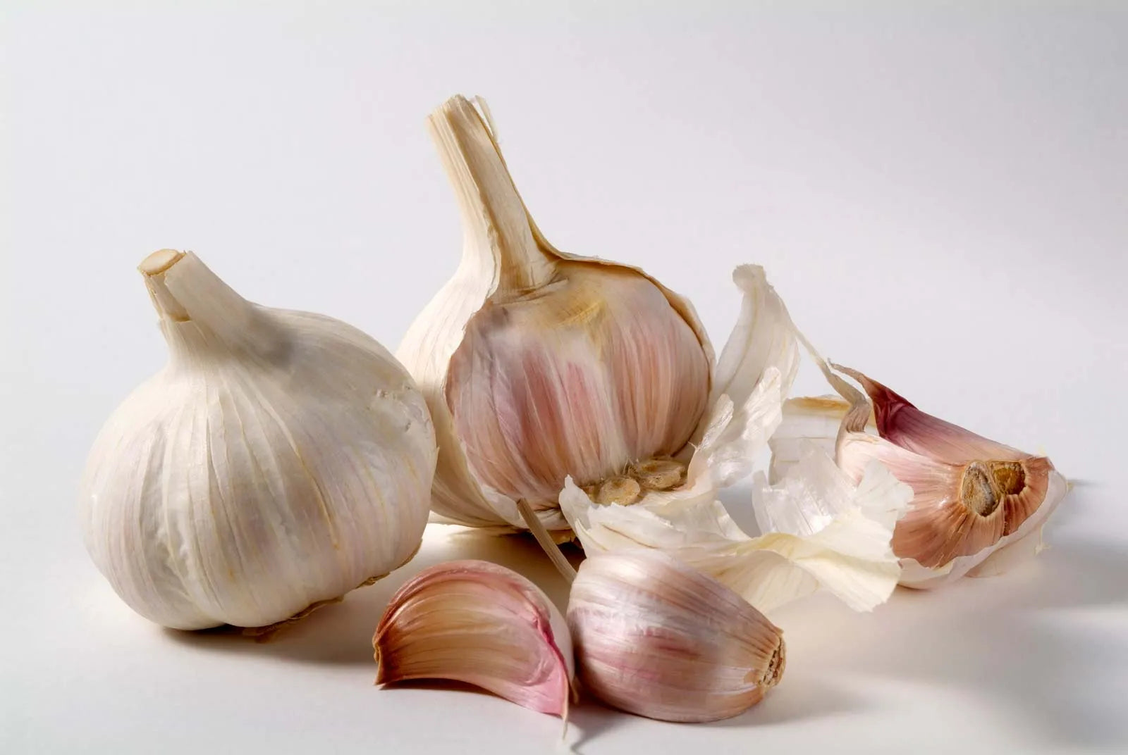 Vibrant Garlic Vegetable Seeds For Planting: Perfect Colorful Gardens Seeds