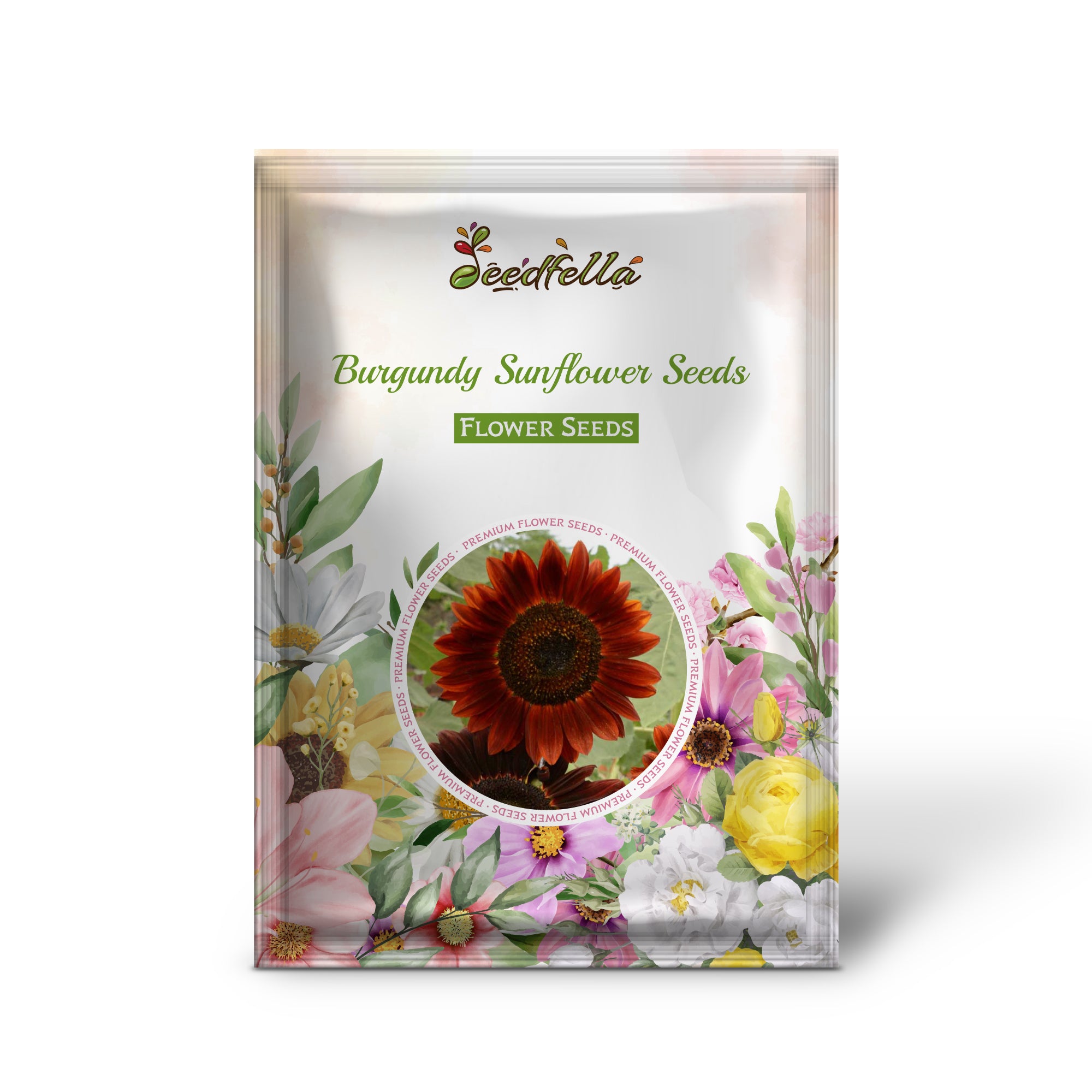 Burgundy Sunflower flowers blooming in garden