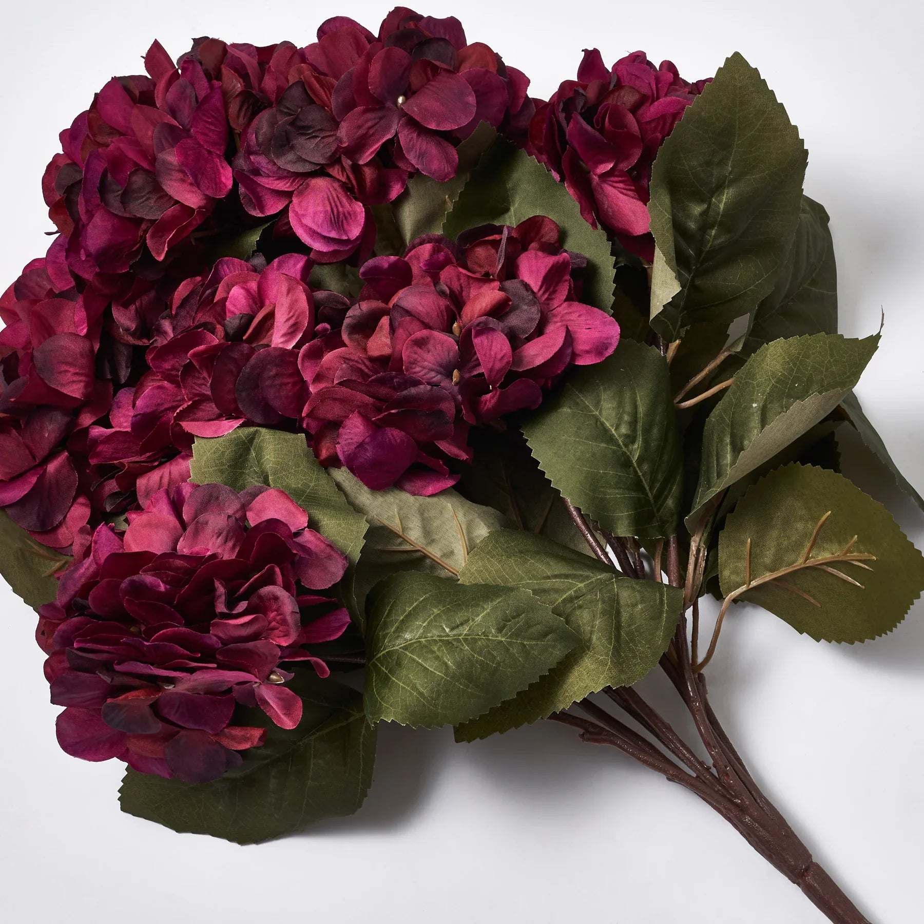 Burgundy Hydrangea Seed Planting Kit