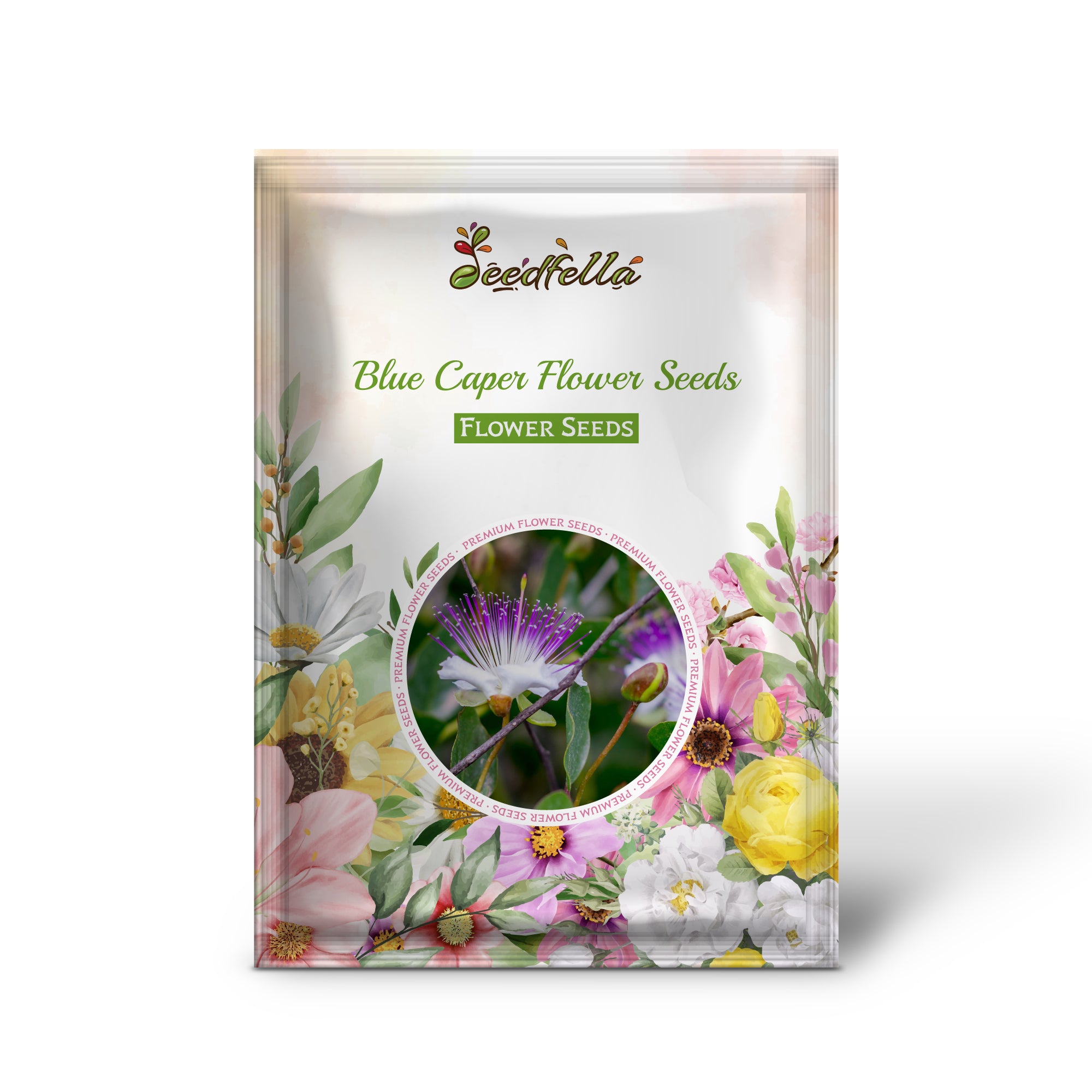 Blue Caper garden seeds for outdoor planting