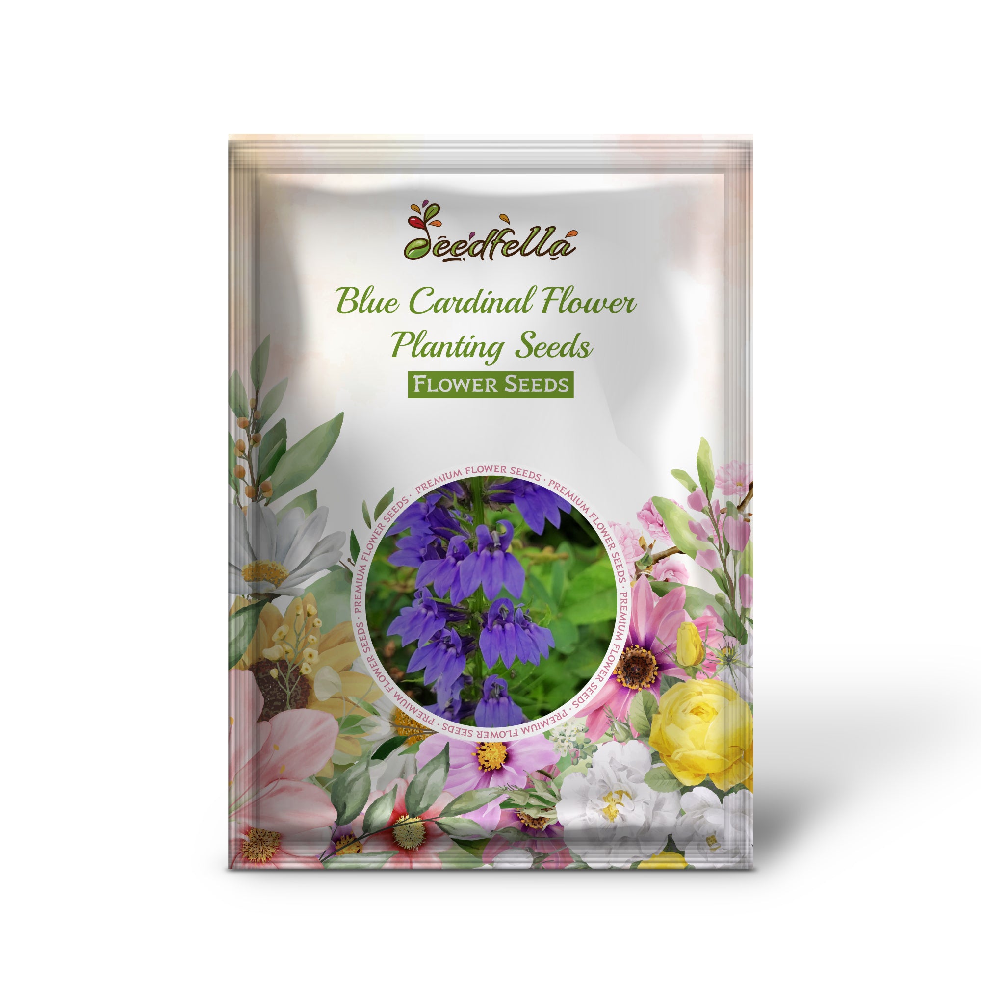 Blue cardinal garden seeds for outdoor planting