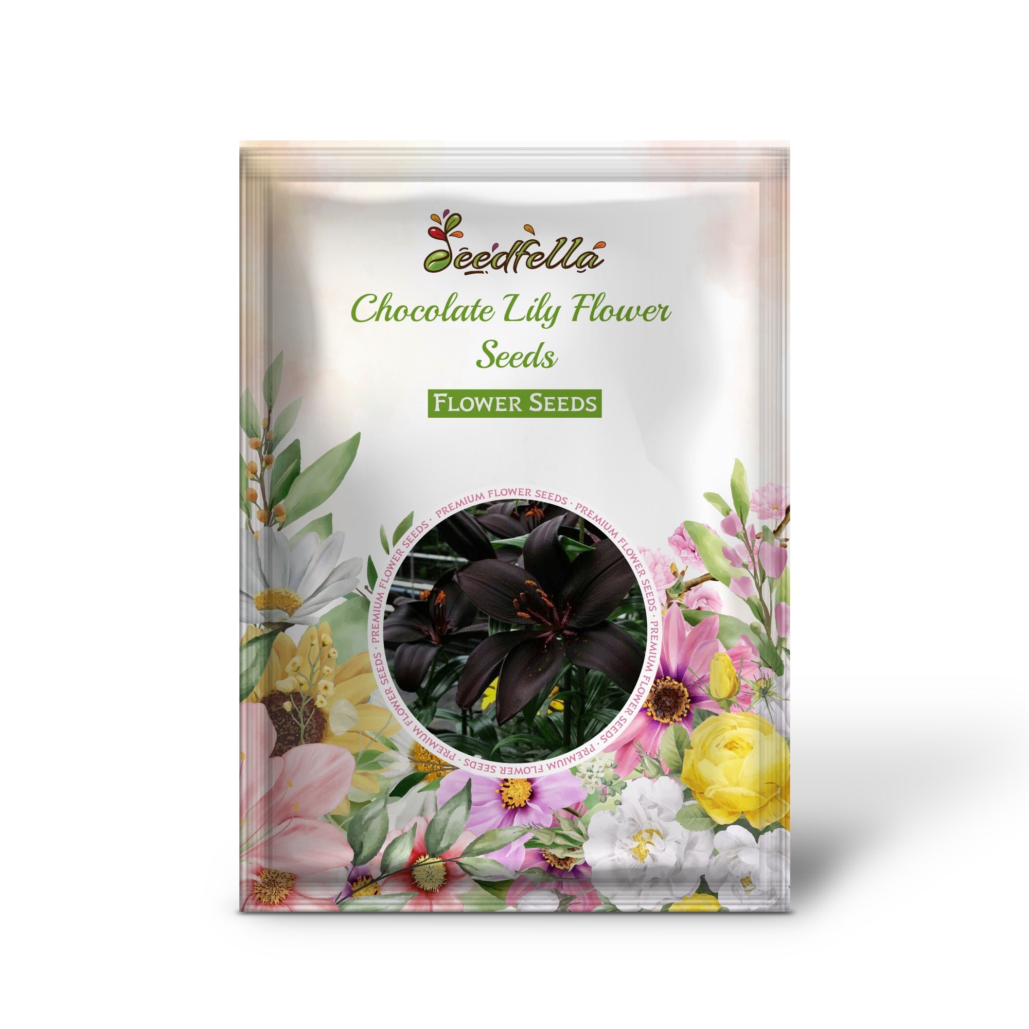 Chocolate Lily garden seeds for outdoor planting