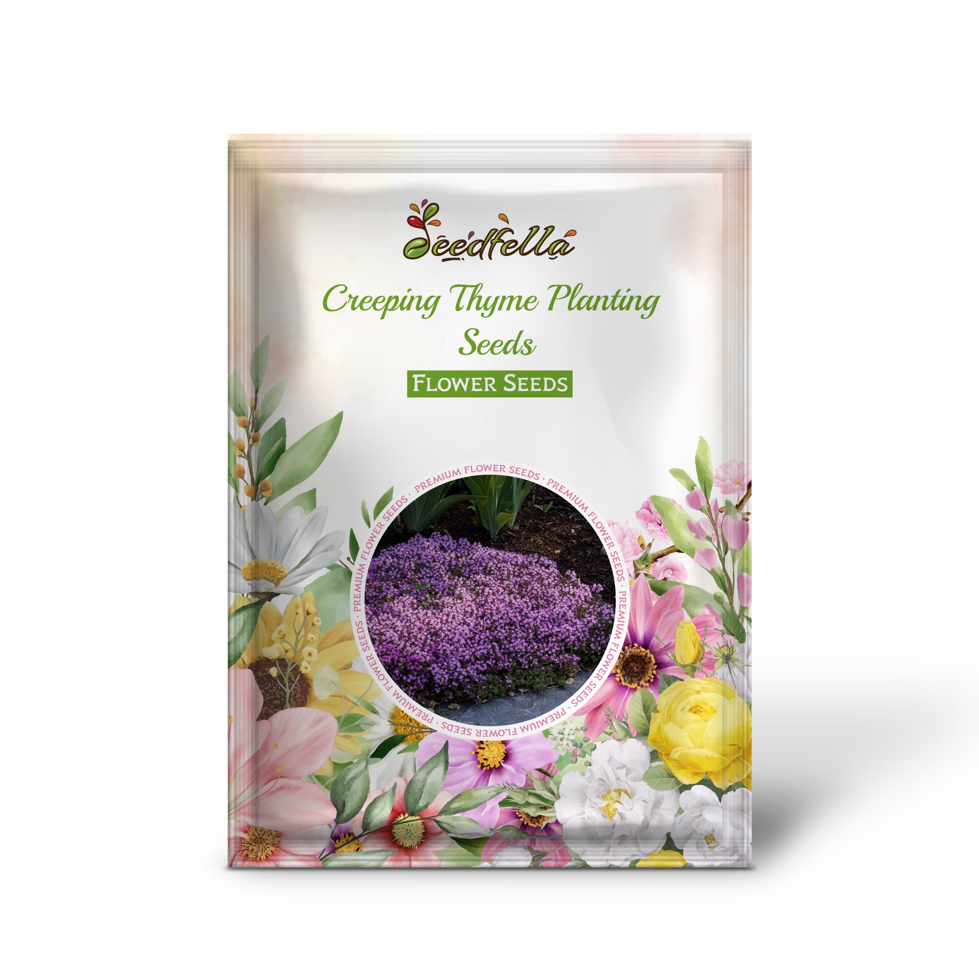 Creecing Creeping Thyme Seeds – Ground Cover Garden Blooms