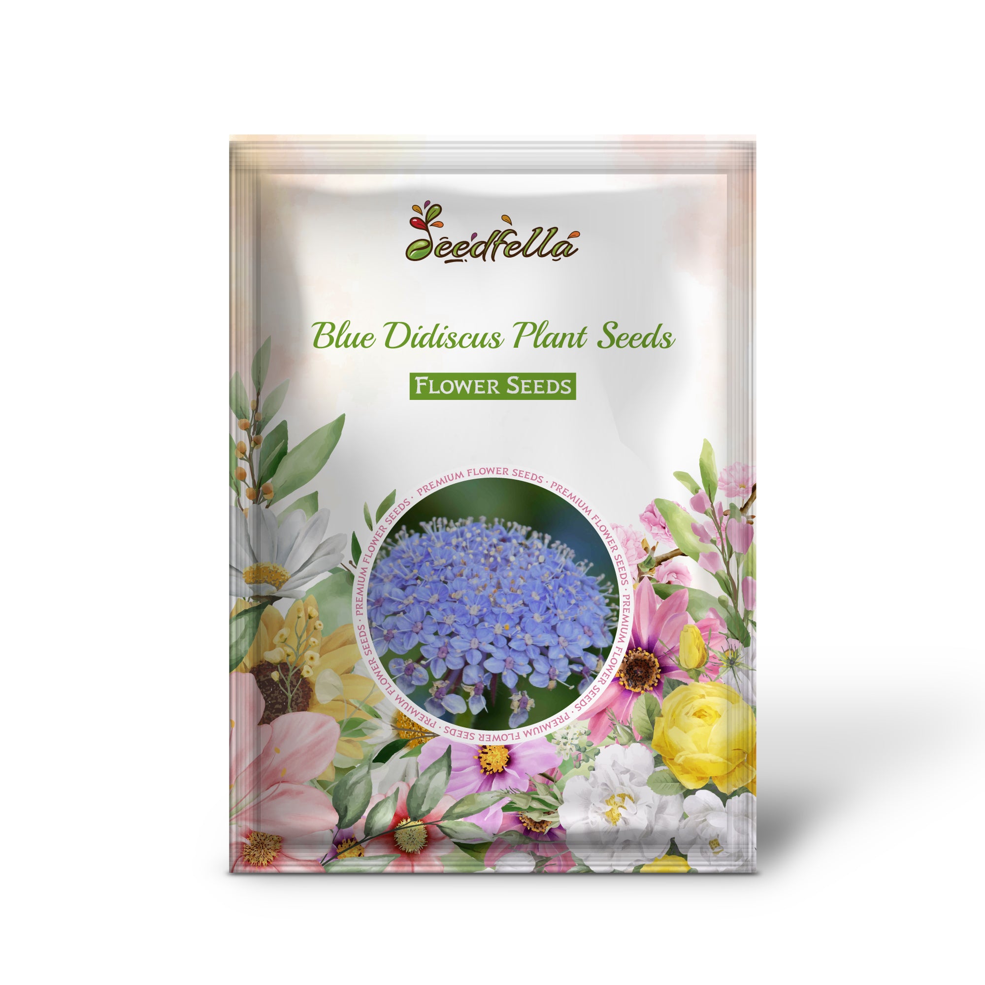 Blue Didiscus garden seeds for outdoor planting