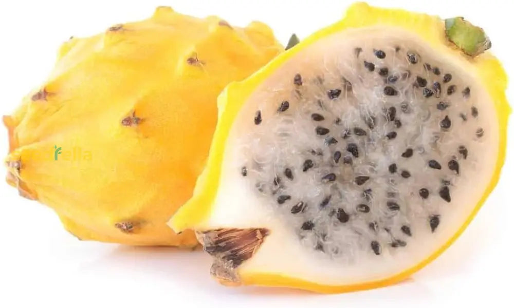 Plant Dragon Fruit Seeds for a unique and refreshing fruit harvest.