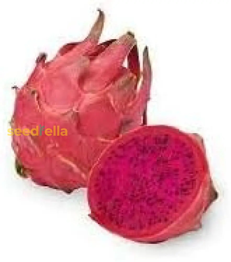 Dragon Fruit Seeds for planting and growing vibrant, sweet dragon fruit.