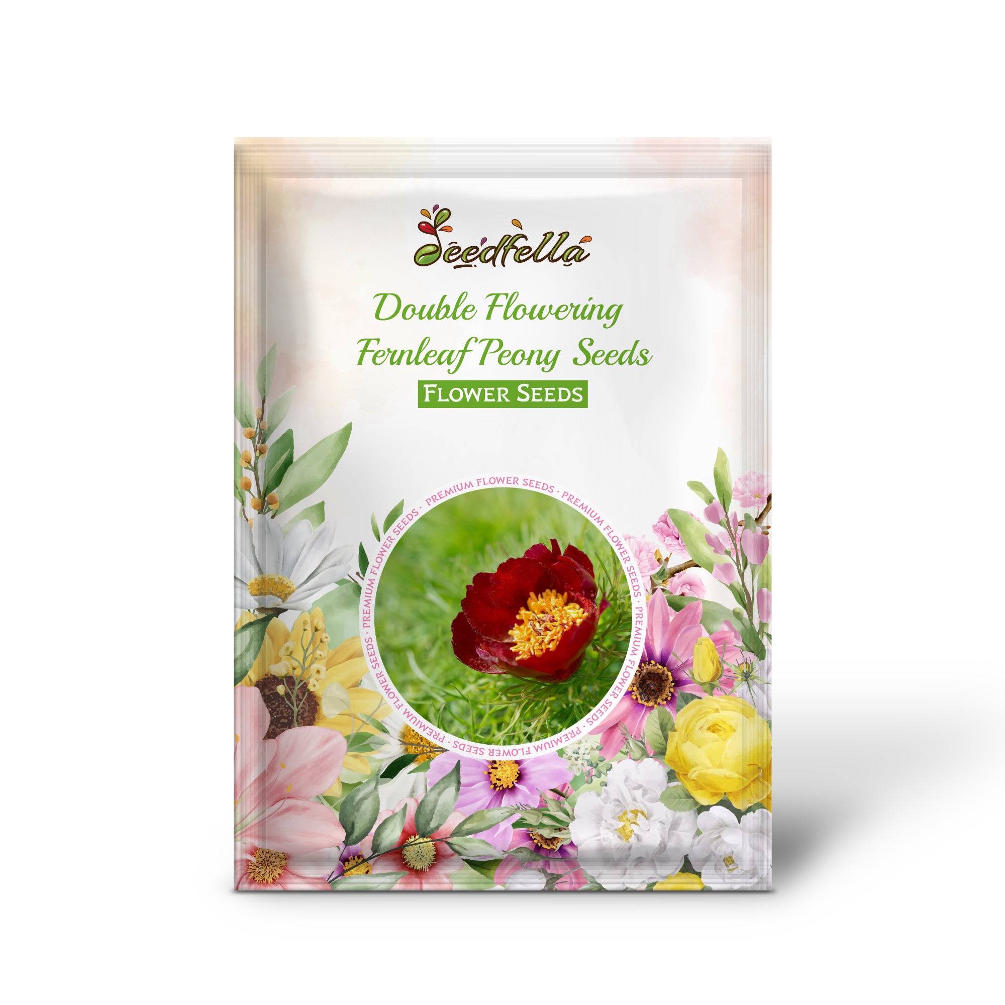 Double flowering Fernleaf Peony blooms