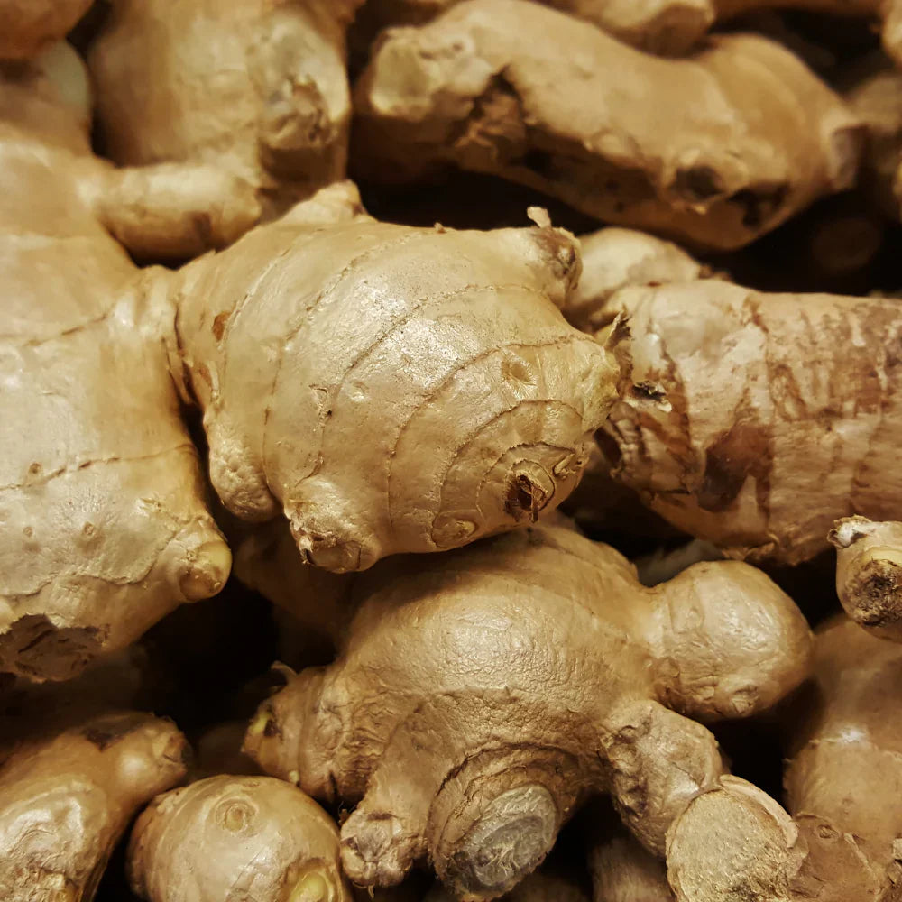 Ginger Vegetable Seeds For Planting Cream