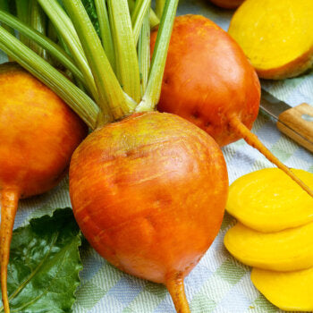 Dark Orange Radish Vegetable Seeds For Flavorful And Nutritious Planting