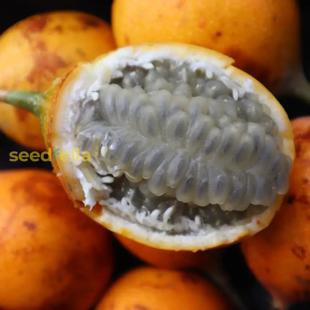 Plant Granadilla Seeds to enjoy fresh, juicy tropical fruits at home.