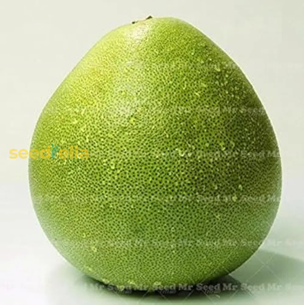 Green Grapefruit Seeds for easy planting and homegrown fruit.